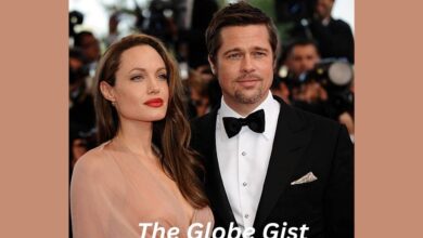 Brad Pitt and Angelina Jolie Winery Legal Battle