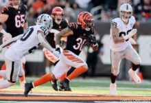 Las Vegas Raiders vs Bengals Match Player Stats