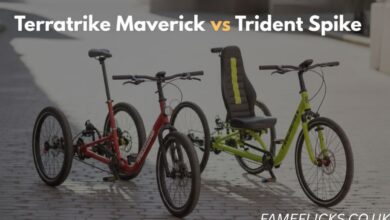 TerraTrike Maverick vs Trident Spike